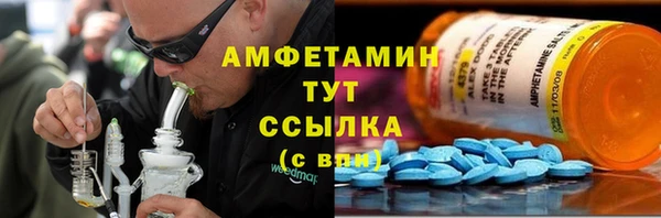 ГАЛЛЮЦИНОГЕННЫЕ ГРИБЫ Семёнов