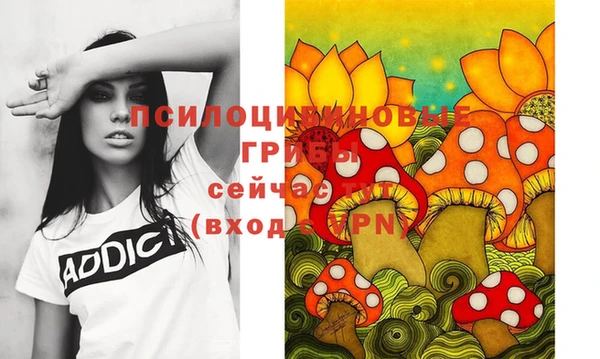 дурь Семилуки